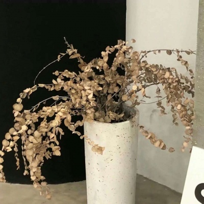 琼结FurryQQ群介绍